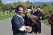 Un falconiere mostra la sua aquila accanto al Cammino di Santiago
