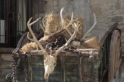 Un carro antico ornato di oggetti di scena medievali accanto alla facciata