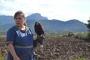 Una donna pratica la falconeria con vista sui Pirenei aragonesi
